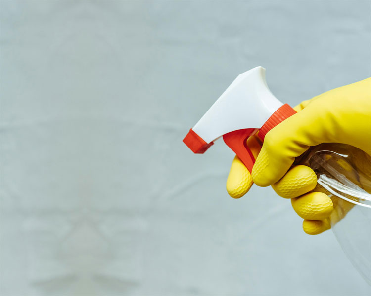 person in rubber gloves spraying cleaning fluid from dispenser