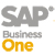 SAP Business One logo